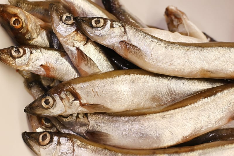 European Cuisine